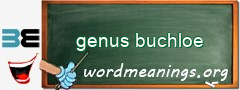 WordMeaning blackboard for genus buchloe